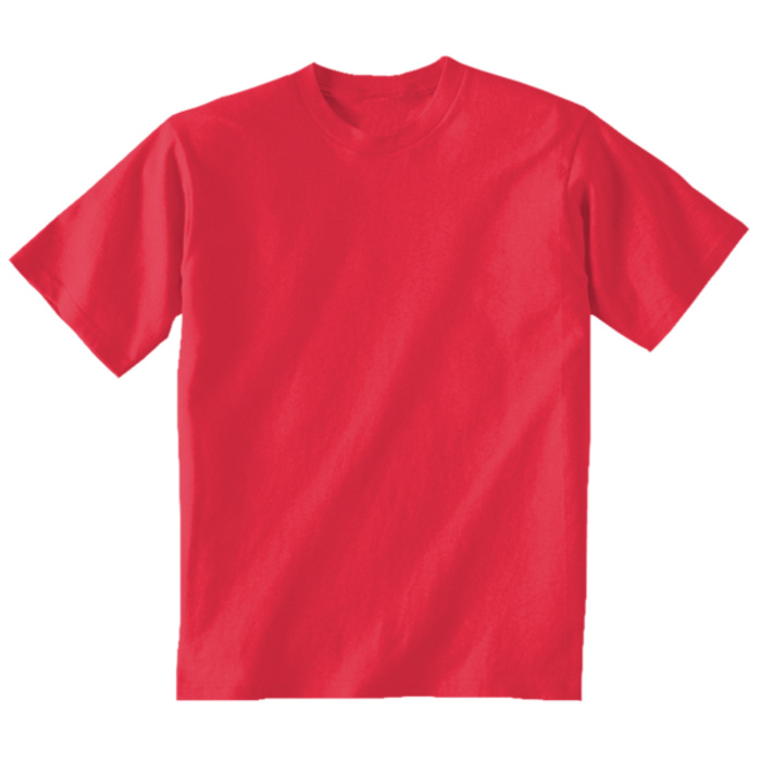 Toddler Heavy Cotton™ T-Shirt Thumbnail