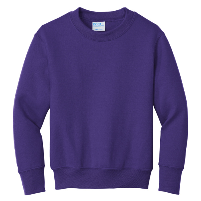 Youth Core Fleece Crewneck Sweatshirt Thumbnail